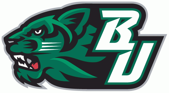 Binghamton Bearcats 2001-Pres Secondary Logo v3 iron on transfers for T-shirts